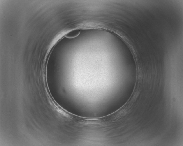 X0000077401486200610272026