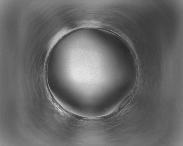 X0000077401488200610272026