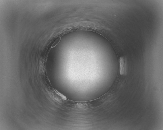 X0000077401491200610272025