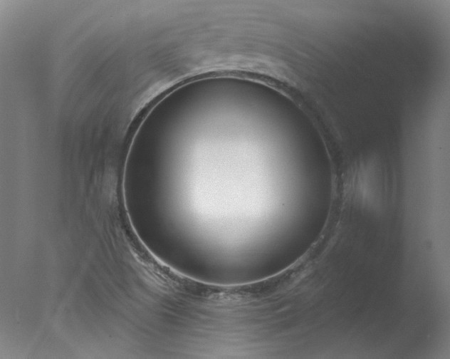 X0000077401505200610272025