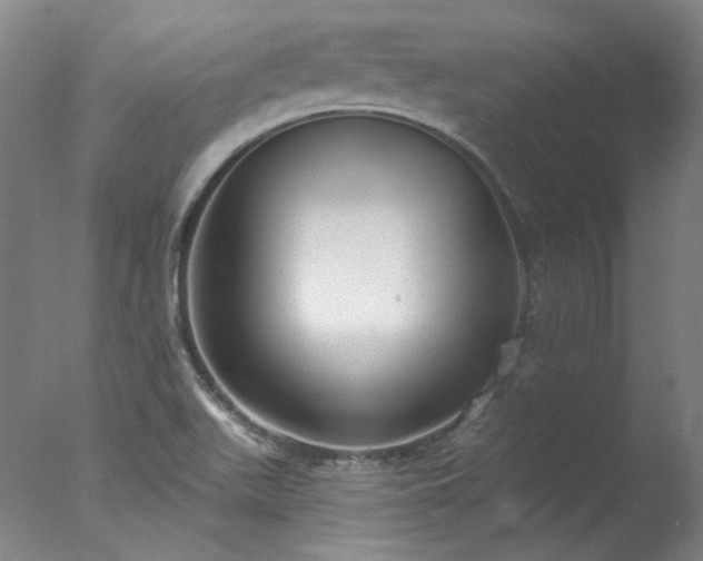 X0000077401511200610272025