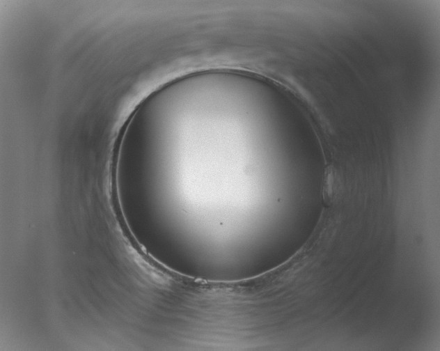 X0000077401512200610272025
