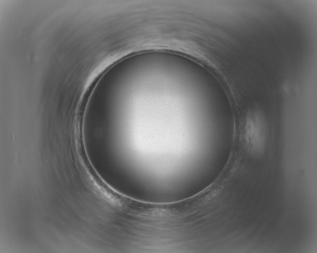 X0000077401517200610272025