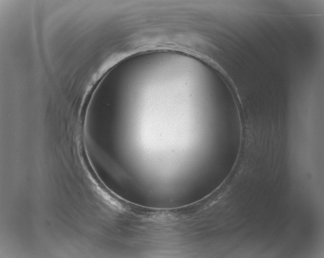 X0000077401525200610272025