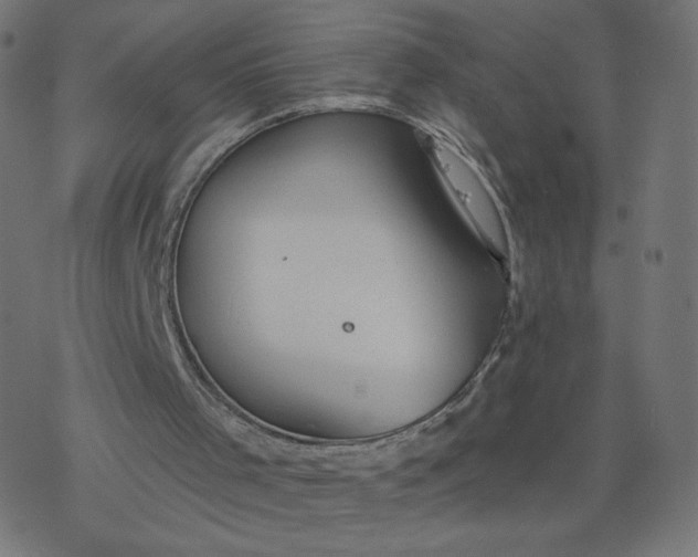 X0000077400001200611032038