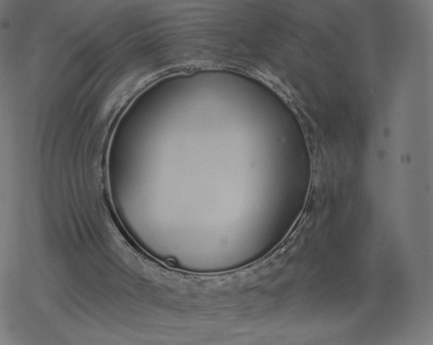 X0000077400002200611032038