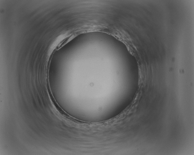 X0000077400003200611032038