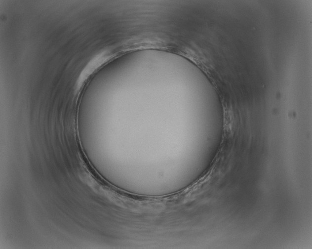 X0000077400004200611032038