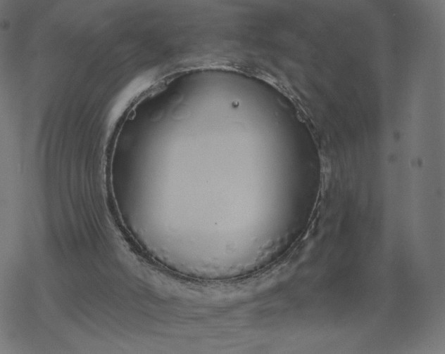 X0000077400006200611032038