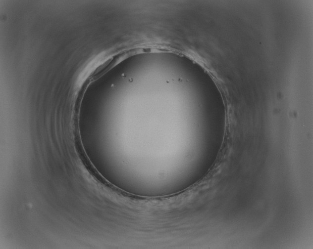 X0000077400007200611032038