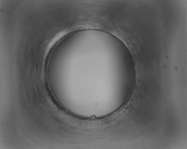 X0000077400008200611032038