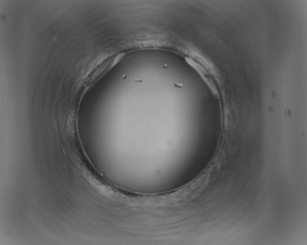 X0000077400009200611032038