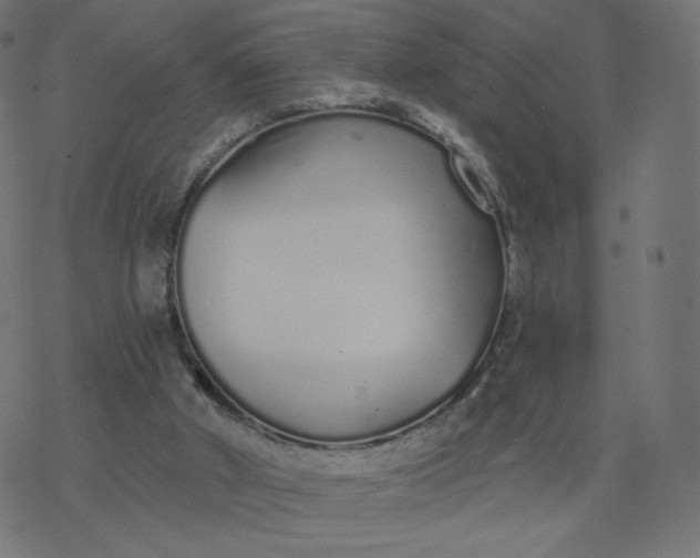 X0000077400010200611032038