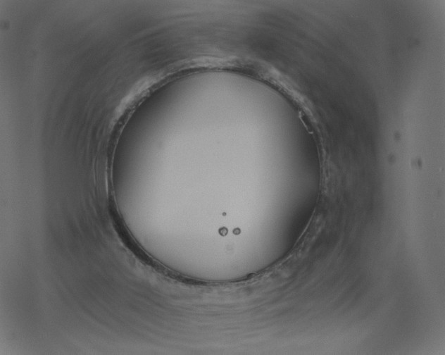 X0000077400011200611032038