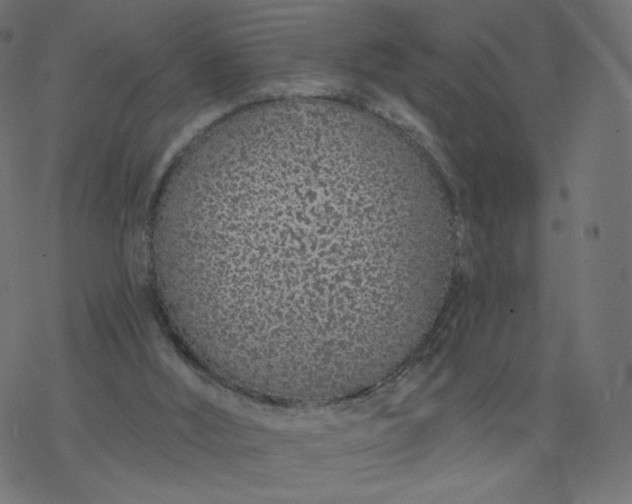 X0000077400012200611032038