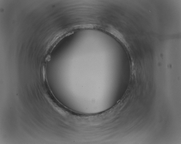 X0000077400013200611032038