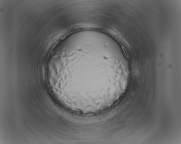 X0000077400014200611032038