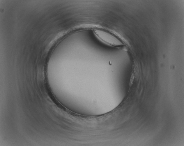 X0000077400015200611032038