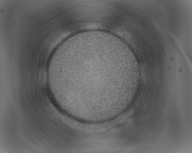 X0000077400016200611032038