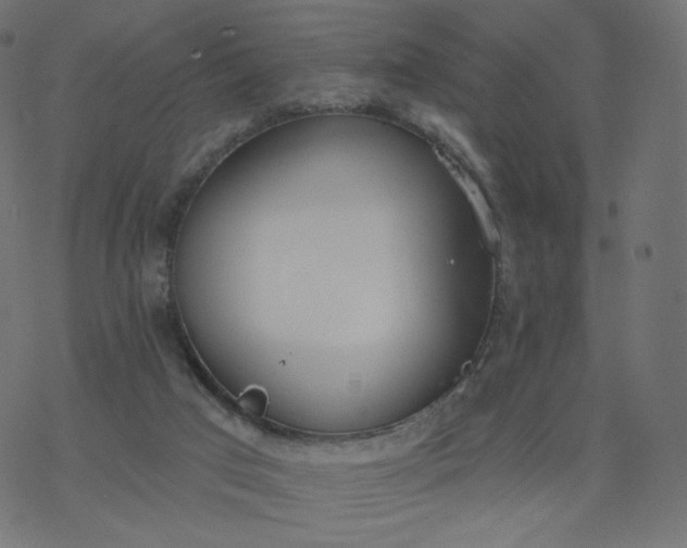 X0000077400017200611032038