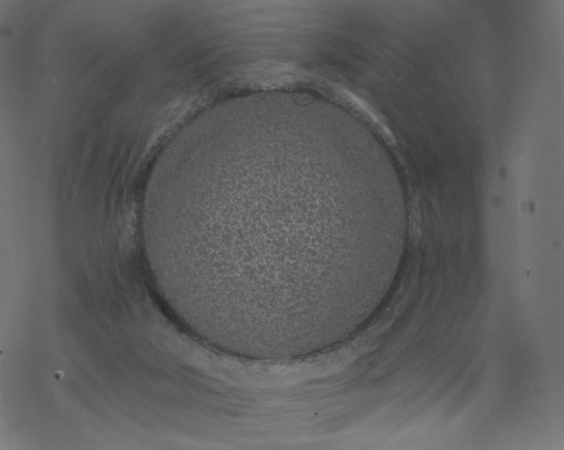 X0000077400018200611032038