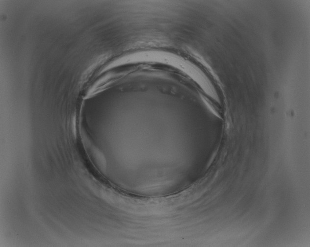 X0000077400019200611032038