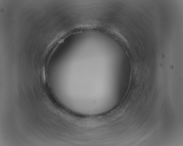 X0000077400020200611032038