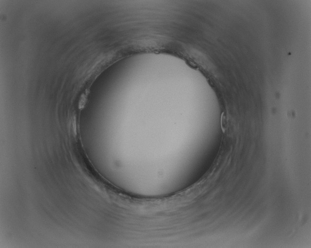 X0000077400021200611032038