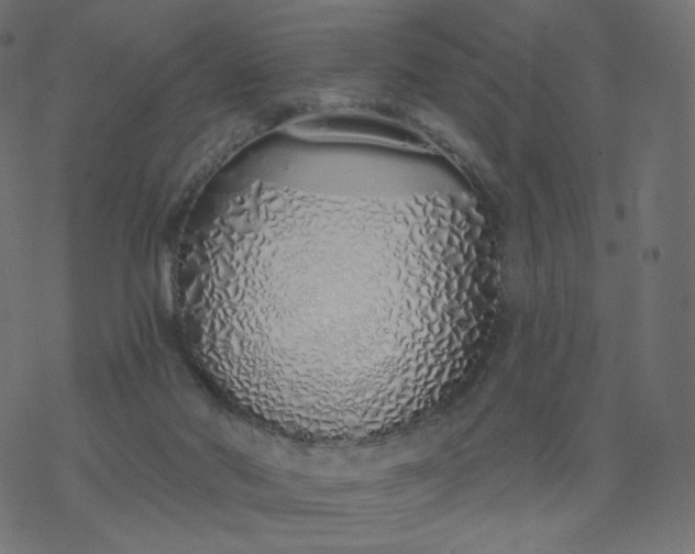 X0000077400022200611032038