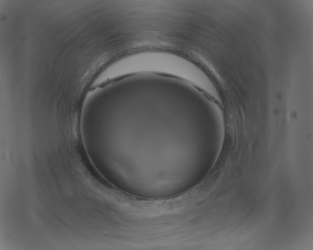 X0000077400023200611032038