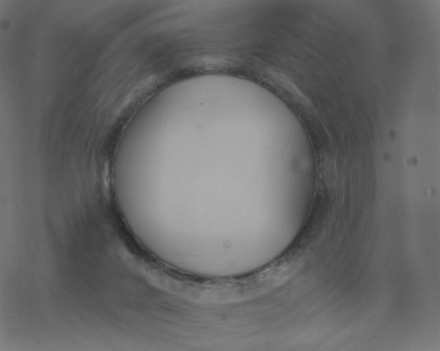 X0000077400024200611032038