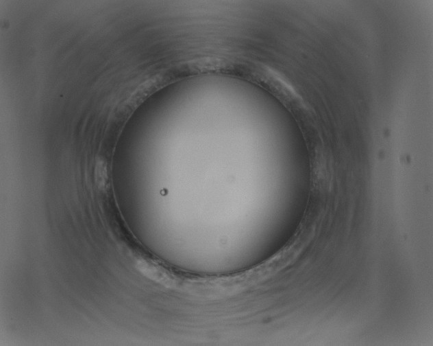 X0000077400025200611032038