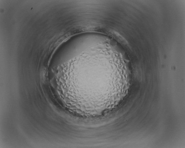 X0000077400026200611032038