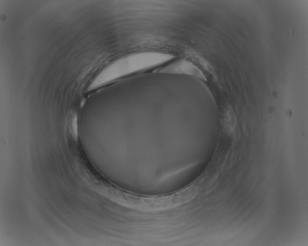 X0000077400027200611032038