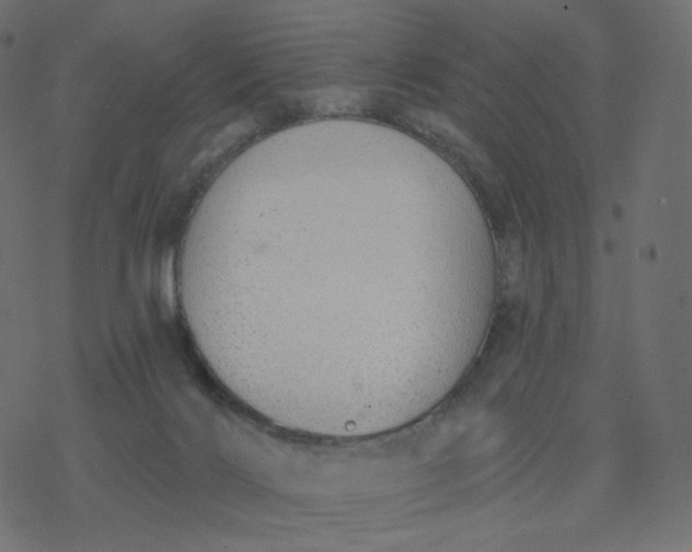 X0000077400028200611032038