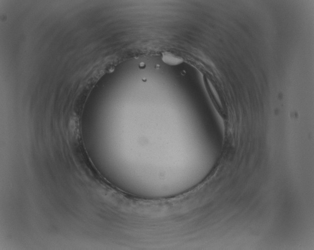 X0000077400029200611032038