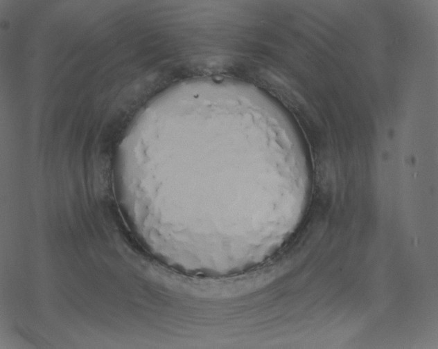 X0000077400030200611032038