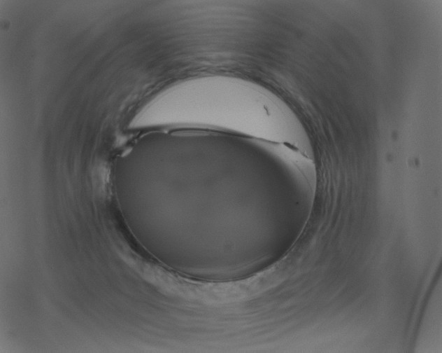 X0000077400031200611032038