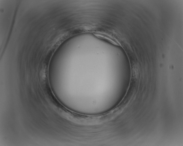 X0000077400032200611032038