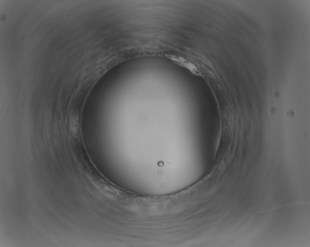 X0000077400033200611032038