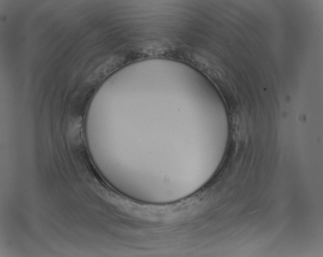 X0000077400034200611032038