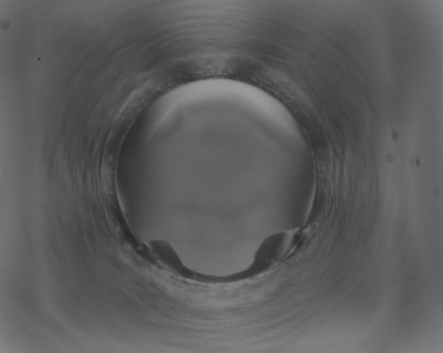 X0000077400035200611032037