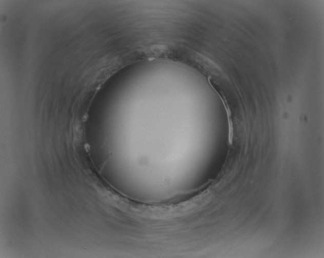 X0000077400037200611032037