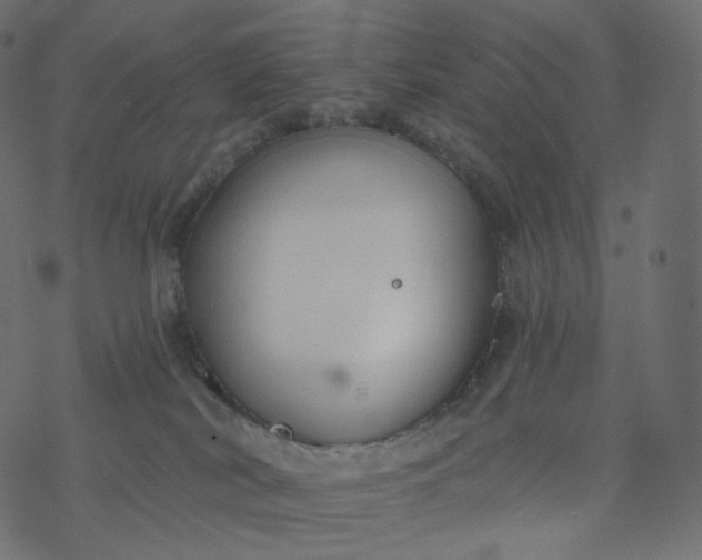 X0000077400038200611032037