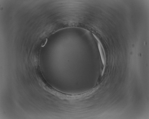 X0000077400039200611032037