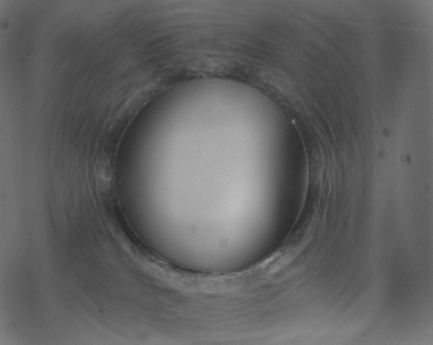 X0000077400040200611032037