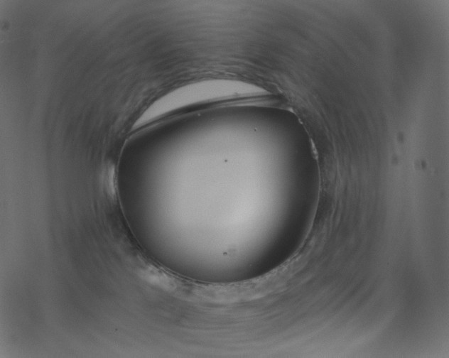 X0000077400041200611032037