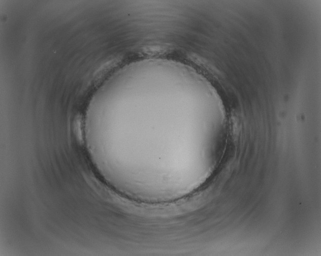 X0000077400042200611032037