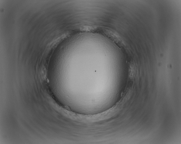 X0000077400043200611032037