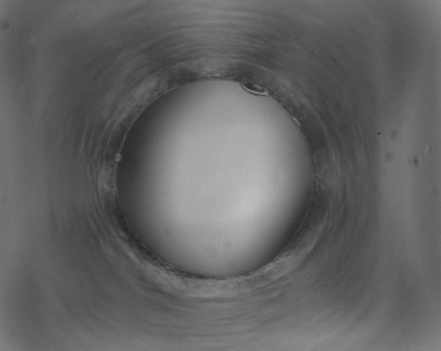 X0000077400044200611032037